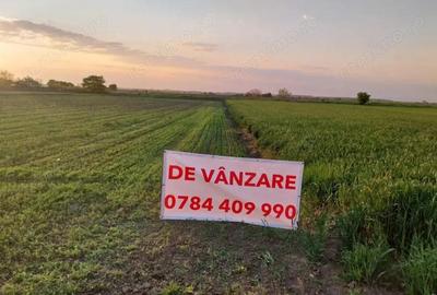 DARZA - TEREN INTRAVILAN - 1