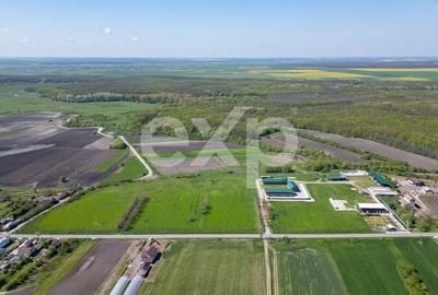 Teren Construcții intravilan de 105000 mp, în Crânguri - 9