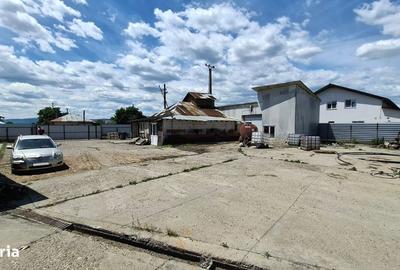 Spațiu comercial, de 250 mp, în Bolotești - 4