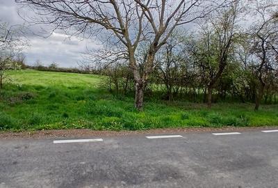 Teren de 6500 mp, în Hitiaș - 7