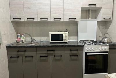 Garsoniera de inchiriat Herastrau - 3