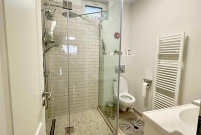 Vanzare vila Gradina Icoanei - Dacia - curte, casa de oaspeti - 24