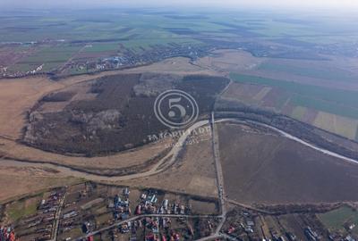 Padure de vanzare - Padurea lui Bolete, Fierbinti-Targ - 6