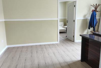 Apartament cu 2 camere semidecomandat în Tudor Vladimirescu - 5
