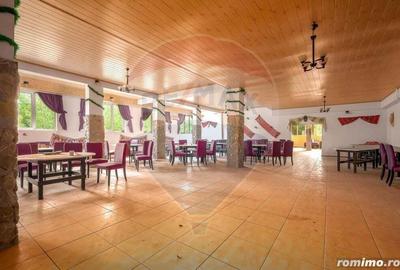 Casă cu 23 camere cu Teren 6177 Mp în Domnești - 13