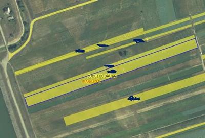 Teren de 10000 mp, în Dieneț - 1