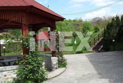 Vila de vacante cu prieteni in 9 camere si teren generos in Arges - 2