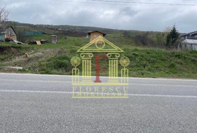 Teren Construcții intravilan de 3200 mp, în Tomești - 2