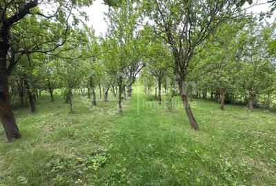Teren intravilan cu casa renovabila | 2500mp teren | Front 21m | Aiton