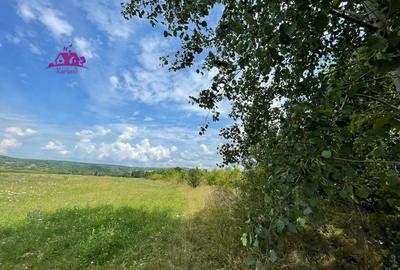 Teren de vanzare in Meziad. - 4