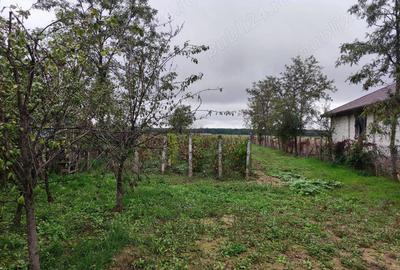 Teren de 3384 mp, în Periș - 3