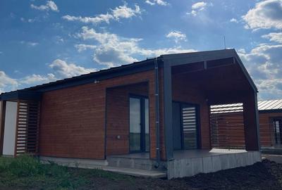 Casă cu 3 camere în Snagov - 1