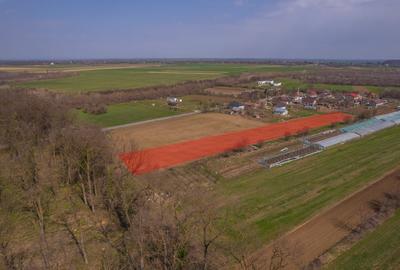 Teren Construcții intravilan de 3876 mp, în Balta Neagră - 11