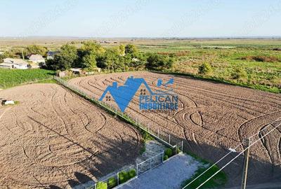 Teren de 6000 mp, în Sarinasuf - 7