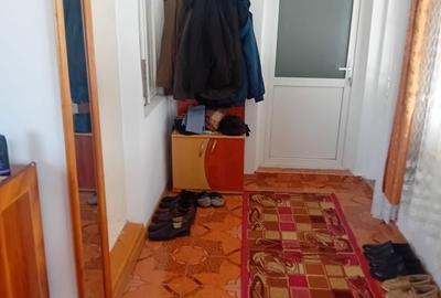 Casă cu 4 camere cu Teren 5000 Mp în Girov - 6