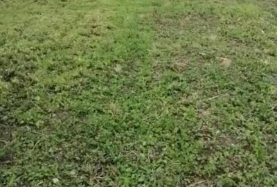 Casă în Căscioarele - 2