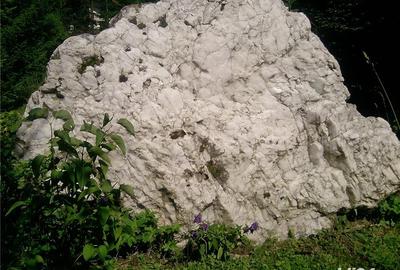 Teren de 1747 mp, în Piatra Arsă - 4