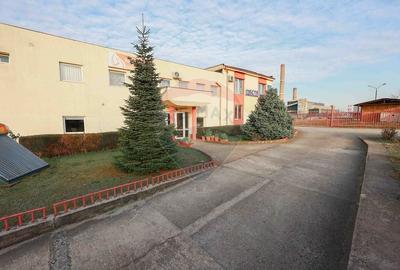 Spațiu industrial, de 500 mp, în Vest - 23
