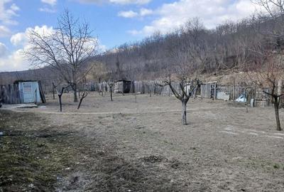 Casă cu Teren 1200 Mp în Central - 5