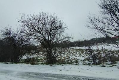 Teren 640 mp, Mischii, front 45,78 m - 1