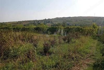 Tomesti - Cabana din lemn si Teren 1008mp intravilan - 5