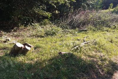 Teren Construcții intravilan de 700 mp, în Roșcani - 7