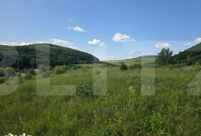 Teren de 5000 mp, în Dâmbul Rotund - 1