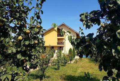 Casă cu 6 camere cu Teren 4200 Mp în Central - 7