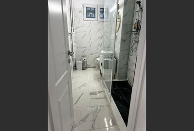 Apartament de vis - complet renovat, mobilat, etaj 2/4 - 9