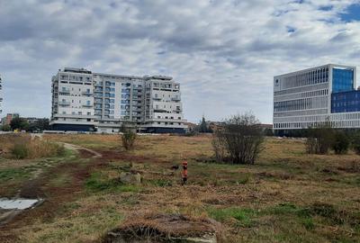 Teren Torontalului/Vox - duplex/individuala - 9