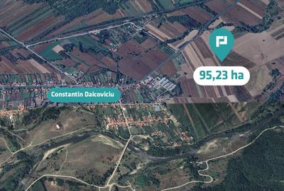 Teren agricol extravilan de 952372 mp, în Constantin Daicoviciu - 7