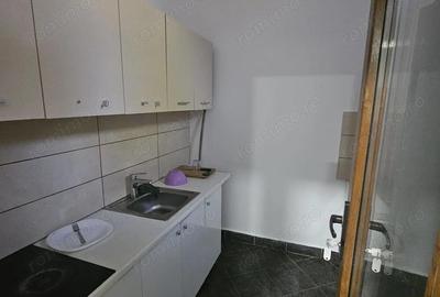 Casă cu 6 camere cu Teren 1000 Mp în Dumbrăvița