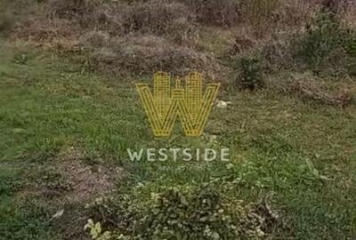 Spațiu comercial, în Ghiroda