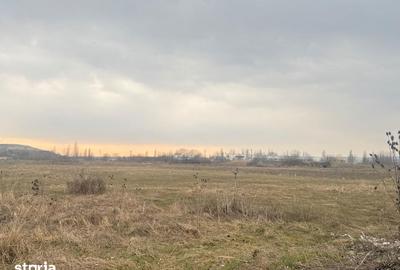 Teren de 3000 mp, în Aninoasa - 4
