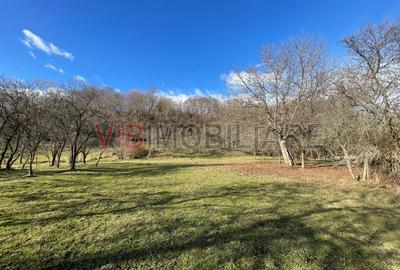 Teren intravilan de 7280 mp, în Mihăești - 3