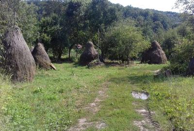 Teren de 3000 mp, în Căpruța