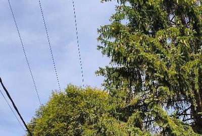 Teren intravilan Valea Doftanei - 10