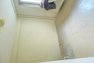 Lacul Tei, Teiul Doamnei, Colentina - 2