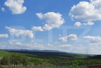 Casa/Vila de vanzare / posibil  Pensiune ,cu view si padure la coltul strazii - 13