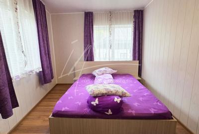 Arges Vila- Casa de vacanta Potential turistic 8 camere Rucar - 4