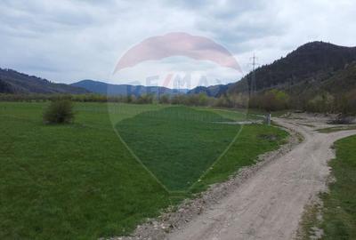 Teren agricol extravilan de 3157 mp, în Exterior Est - 16