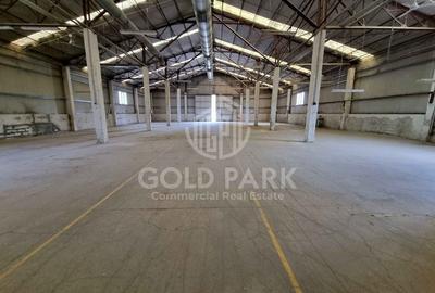 Hala in curs de Renovare-Calea Baciului-Suprafete intre 300-800 mp - 5