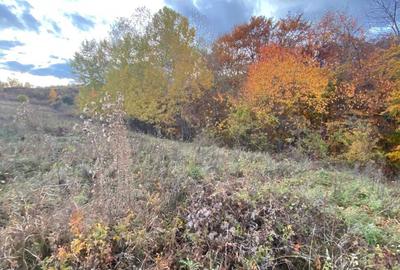 Spațiu comercial, în Central - 3