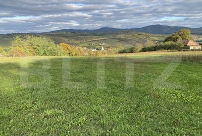 Teren de 27000 mp, în Aghireș - 2