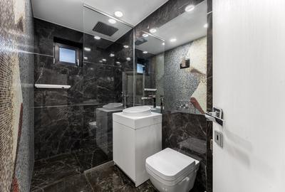 Vila Individuala de Lux in Herastrau - 10 Camere, Cinema, Piscina Reamenajabila - 17