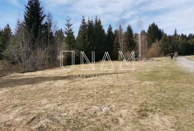 Teren de 2172 mp, în Gărâna - 10