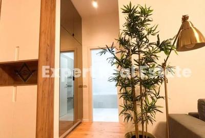 Apartament cu 2 camere semidecomandat în Tunari - 2