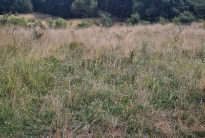 Spațiu comercial, în Sălicea - 2