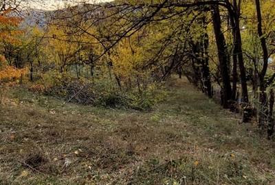 Teren de 1600 mp, în Brebu - 2