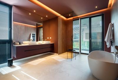 Vila individuala - vanzare - Iancu Nicolae - British School - 18